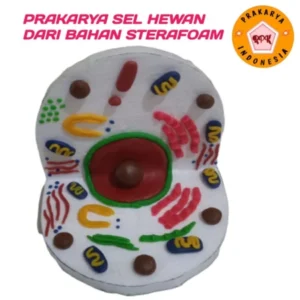 PRAKARYA SEL TUMBUHAN DAN SEL HEWAN