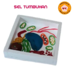 PRAKARYA SEL TUMBUHAN DAN SEL HEWAN